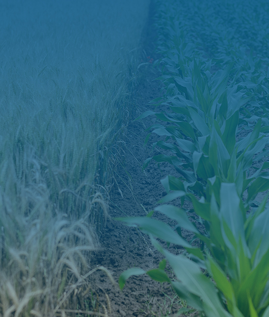 云唐土壤快速檢測儀綜合性能解析 領跑2025國產市場賦能精準農業