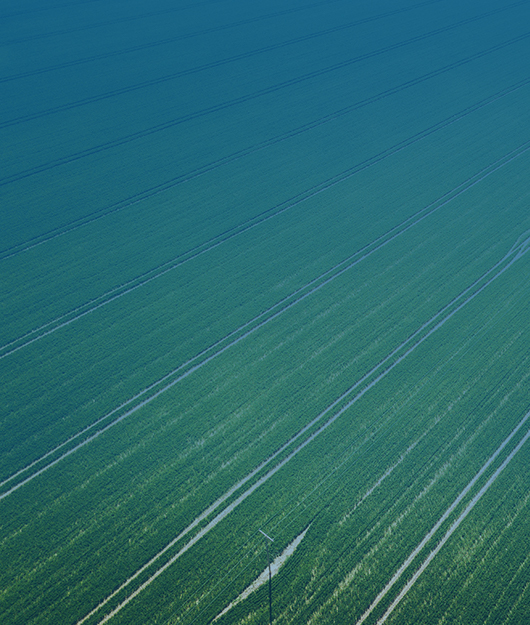 **果蔬保鮮科技革新——專業果蔬呼吸測定儀解決方案提供商賦能產業升級