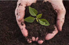 肥料養分速測儀解決土壤施肥不平衡問題